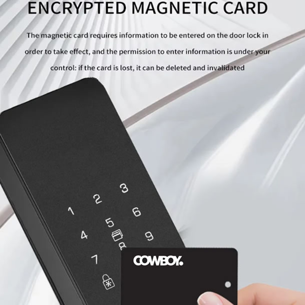 Magnictic card